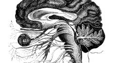 Understanding Neurologic Dry Eye