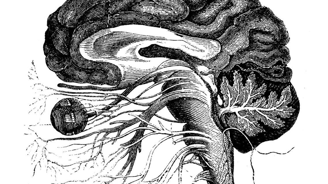 Understanding Neurologic Dry Eye