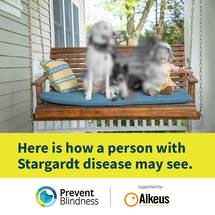 Prevent Blindness Offers New Resources for Education and to Raise Awareness for Stargardt Disease image