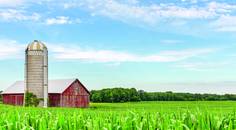 Optometric Care in Rural America