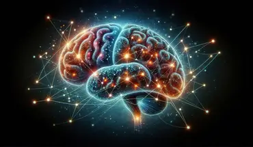 Yale Study Uncovers How Brain Wiring Begins Before Birth image