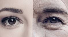 The Emergence of Longevity Biotechnology in Eye Care