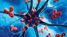 Autoimmune Disease and the Eye