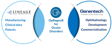 RG6501 (OpRegen) Phase 1/2a Clinical Results Support the Potential for OpRegen to Slow, Stop or Reverse Disease Progression i