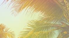 ICSC A History and Preview