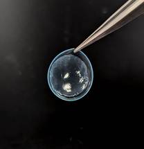 BioTissue Introduces CAM360 AmnioGraft Regenerative Therapy for Dry Eye and Ocular Surface Disorders image