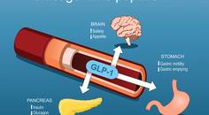 Glucagon Like Peptide 1 Receptor Agonists and the Eye