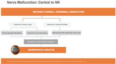 Neurotrophic Keratitis New Approaches to Manage Disease and Improve Patient Satisfaction