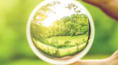 Specialty Lenses for Vision Rehabilitation