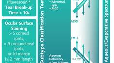 All In One Automated Measurement of Ocular Surface Parameters