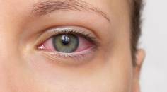 What the Cell Is That