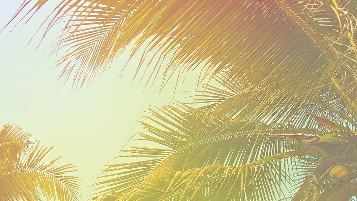 ICSC A History and Preview