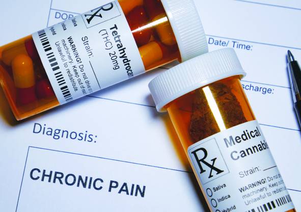 A Fresh Look at the Endocannabinoid System