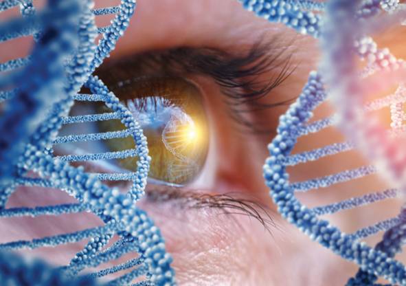Understanding the Genetics Behind Glaucoma