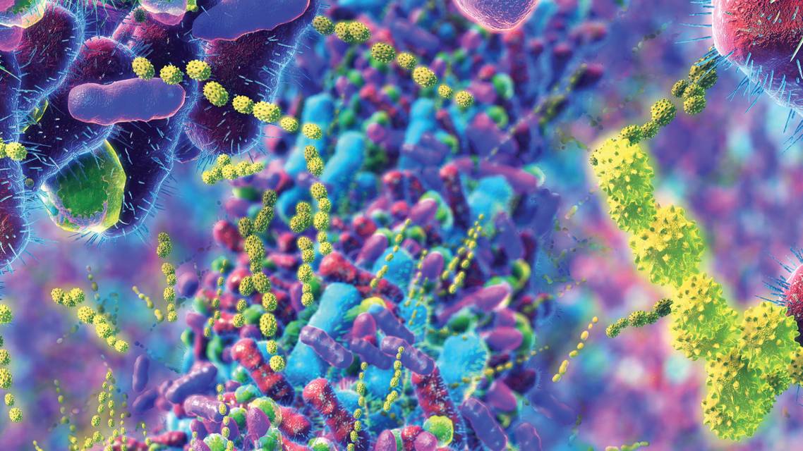 The Gut of the Matter AMD