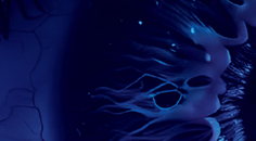 Modern Management of Dry Eye Disease