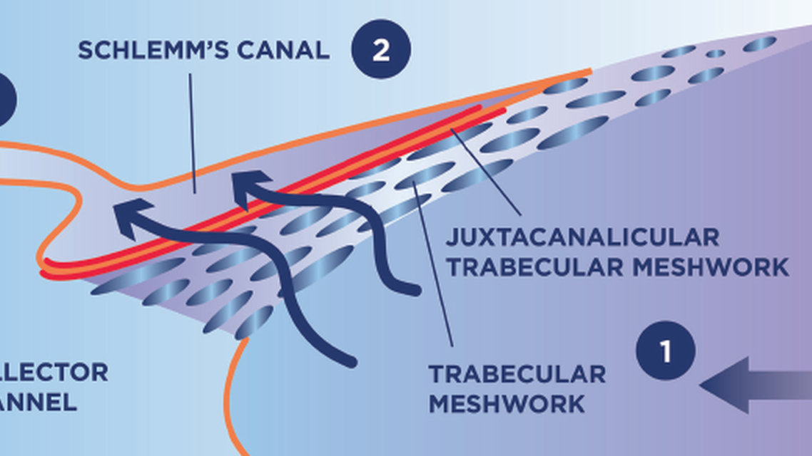OMNI in a Real World Clinical Setting