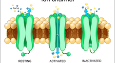 Could Dry Eye Be a Channelopathy