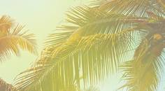 Highlights From the 2019 International Congress of Scleral Contacts