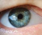 Navigating Measuring and Evaluating Ocular Ptosis