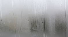 Scleral Lens Complications You Cant Miss