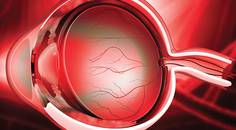 Understanding the Neurobiology and Pain Pathways of DED