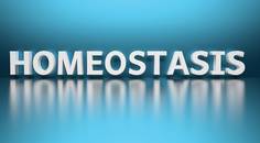 Contact Lenses and Ocular Homeostasis