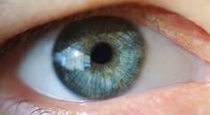 Navigating Measuring and Evaluating Ocular Ptosis