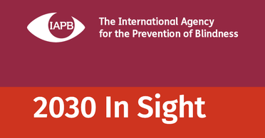 The International Agency for the Prevention of Blindness (IAPB) Welcomes Over 300 International Delegates to Singapore image