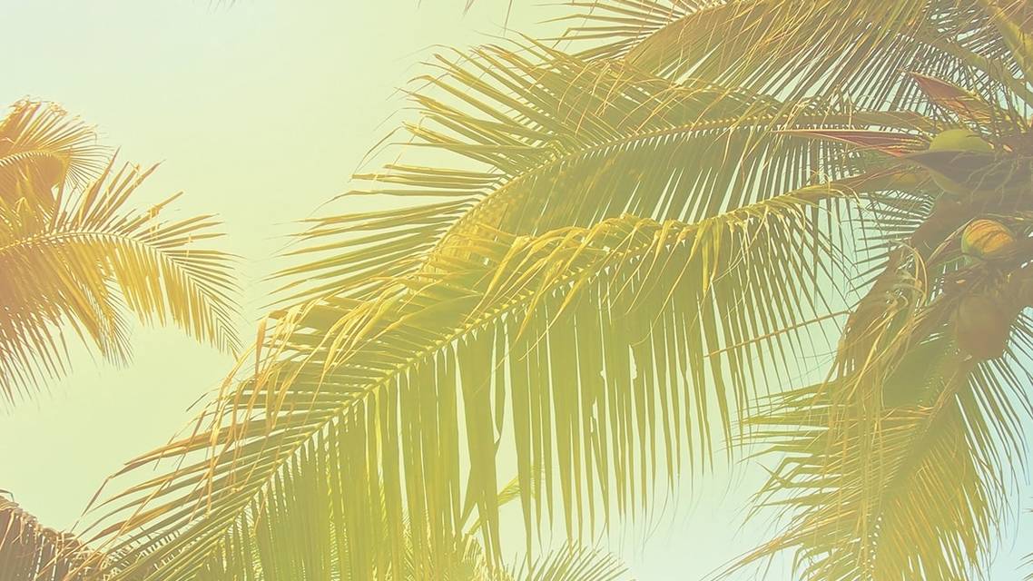 Highlights From the 2019 International Congress of Scleral Contacts