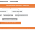 Neurotrophic Keratitis New Approaches to Manage Disease and Improve Patient Satisfaction