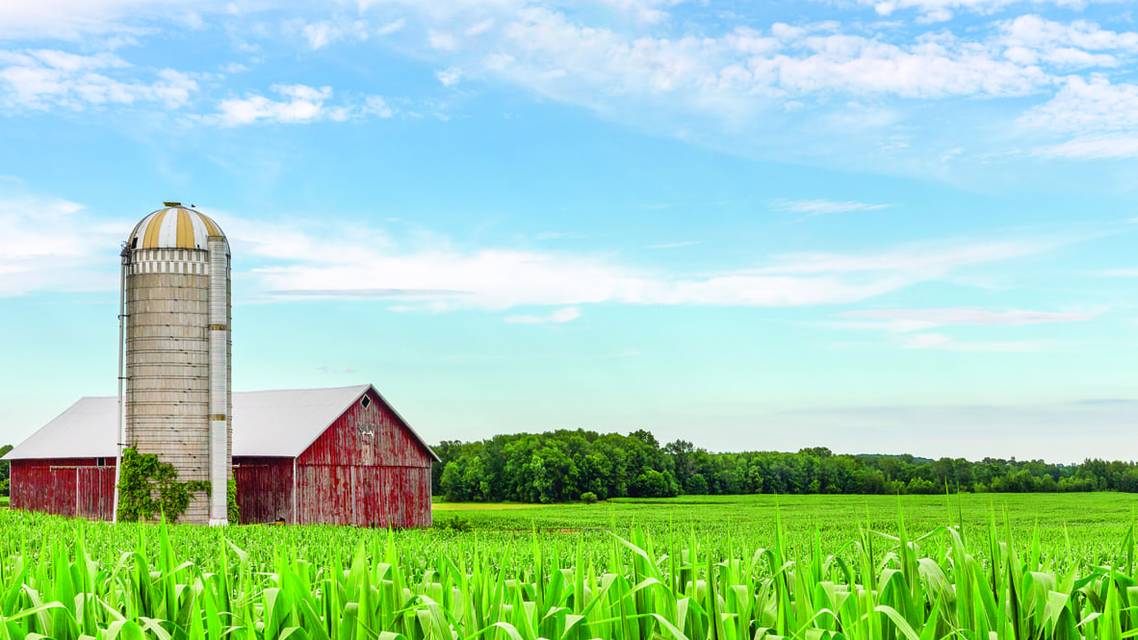 Optometric Care in Rural America