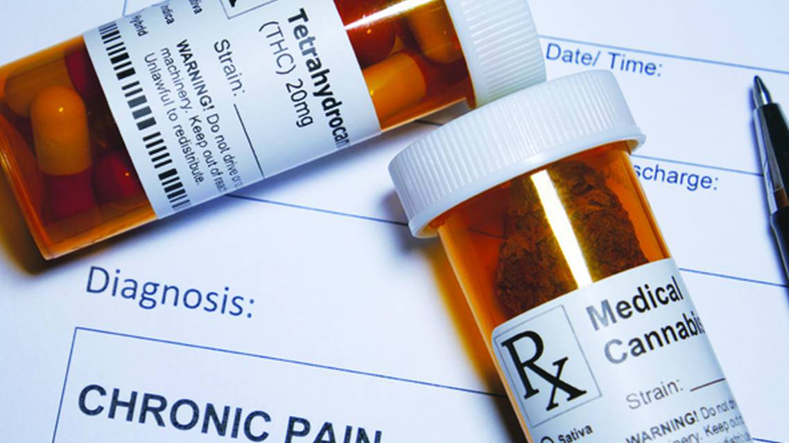 A Fresh Look at the Endocannabinoid System