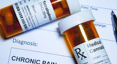 A Fresh Look at the Endocannabinoid System