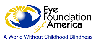 Eye Foundation of America Hosts Fundraising Gala image