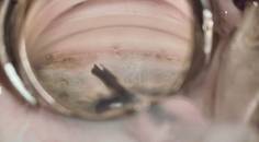 Trabecular meshwork bypass stents