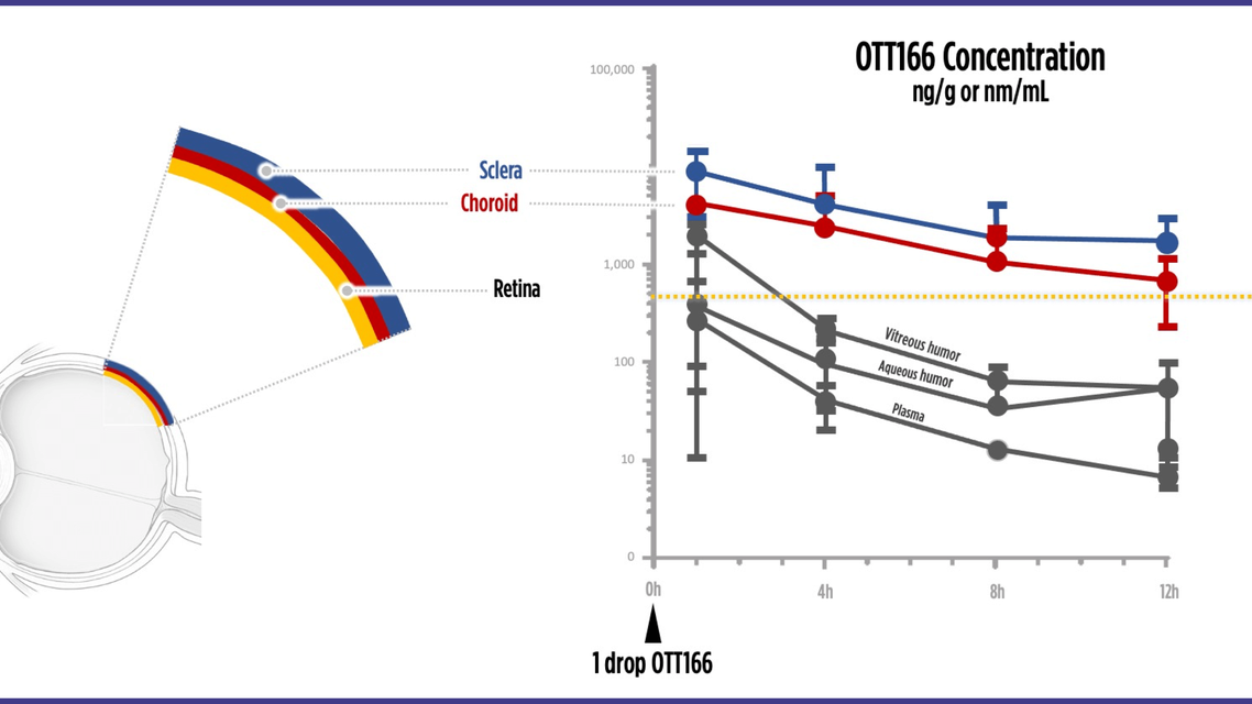 Shifting the Paradigm