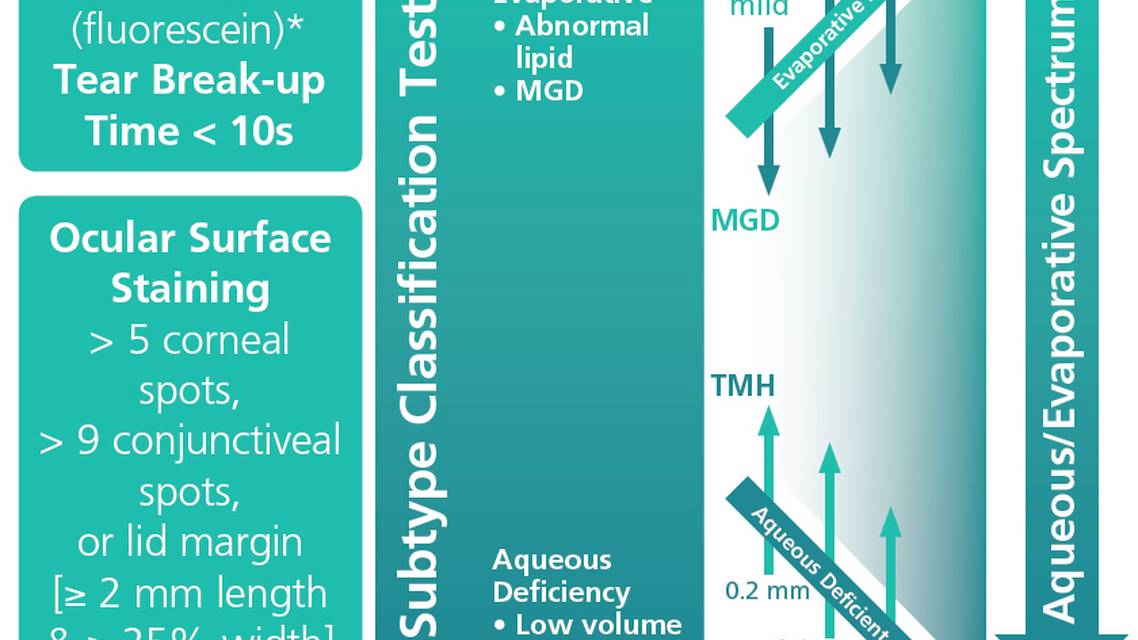 All In One Automated Measurement of Ocular Surface Parameters