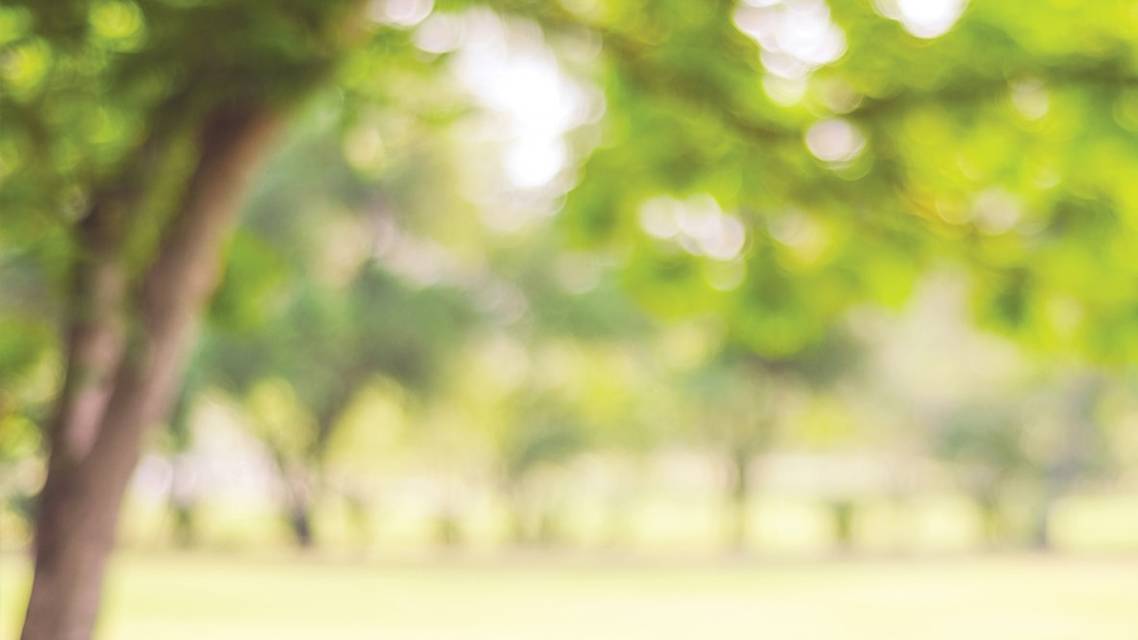 Choosing Among Methods of Myopia Control