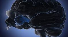 Vestibular Disorders and Visual Dysfunctions