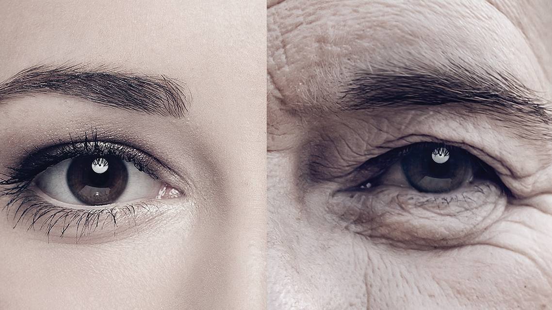 The Emergence of Longevity Biotechnology in Eye Care