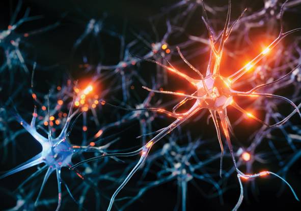 Neuroprotection in Glaucoma Management