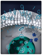 Eyevensys Enters Collaboration with Phillips-Medisize and Minnetronix Medical image