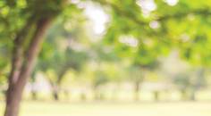 Choosing Among Methods of Myopia Control