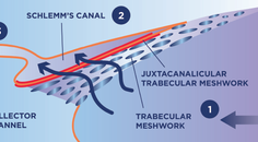 OMNI in a Real World Clinical Setting