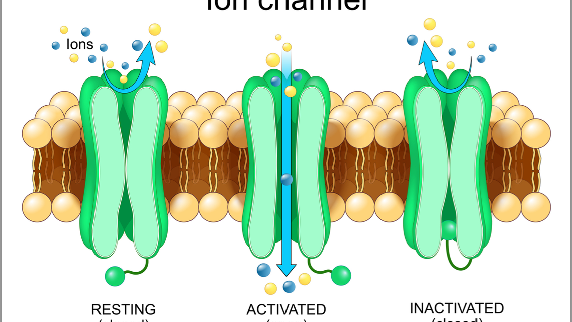 Could Dry Eye Be a Channelopathy
