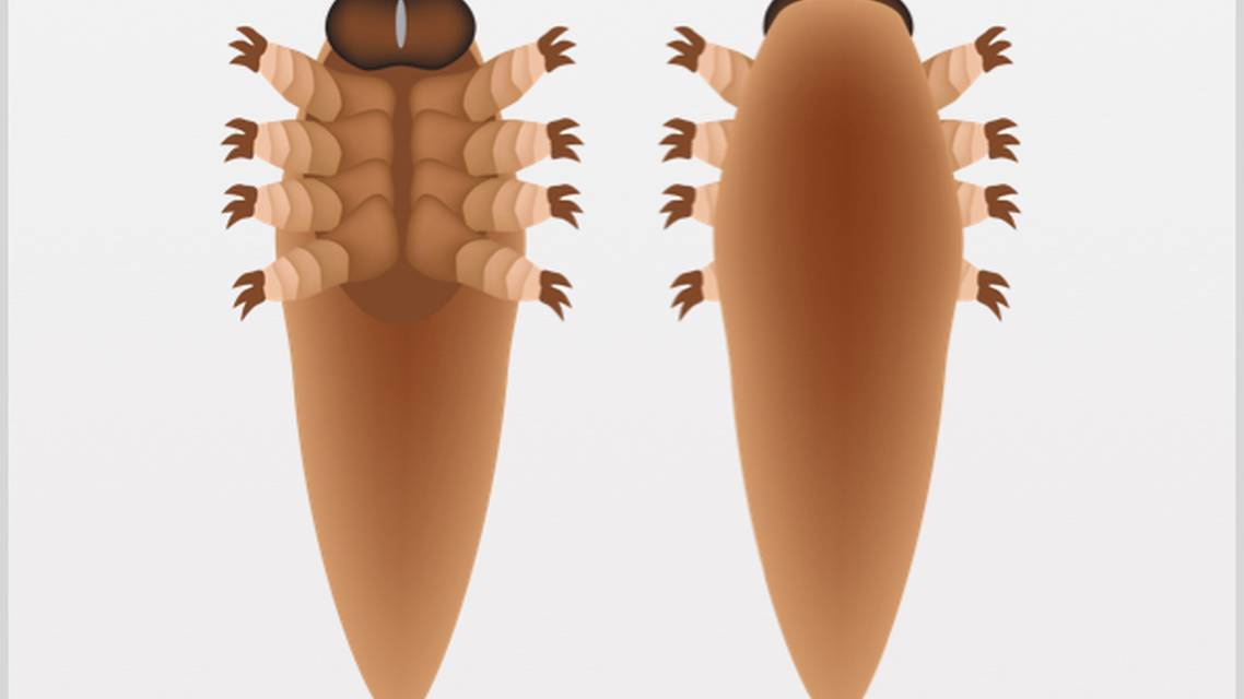 Long Awaited Treatment for Demodex Blepharitis Receives FDA Approval