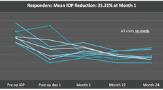 Ushering in a New Treatment Paradigm for Glaucoma Updates on Novel Therapeutics and Disease Modifying Treatments