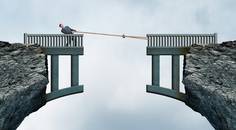 Bridging the Gap OD and MD Collaboration