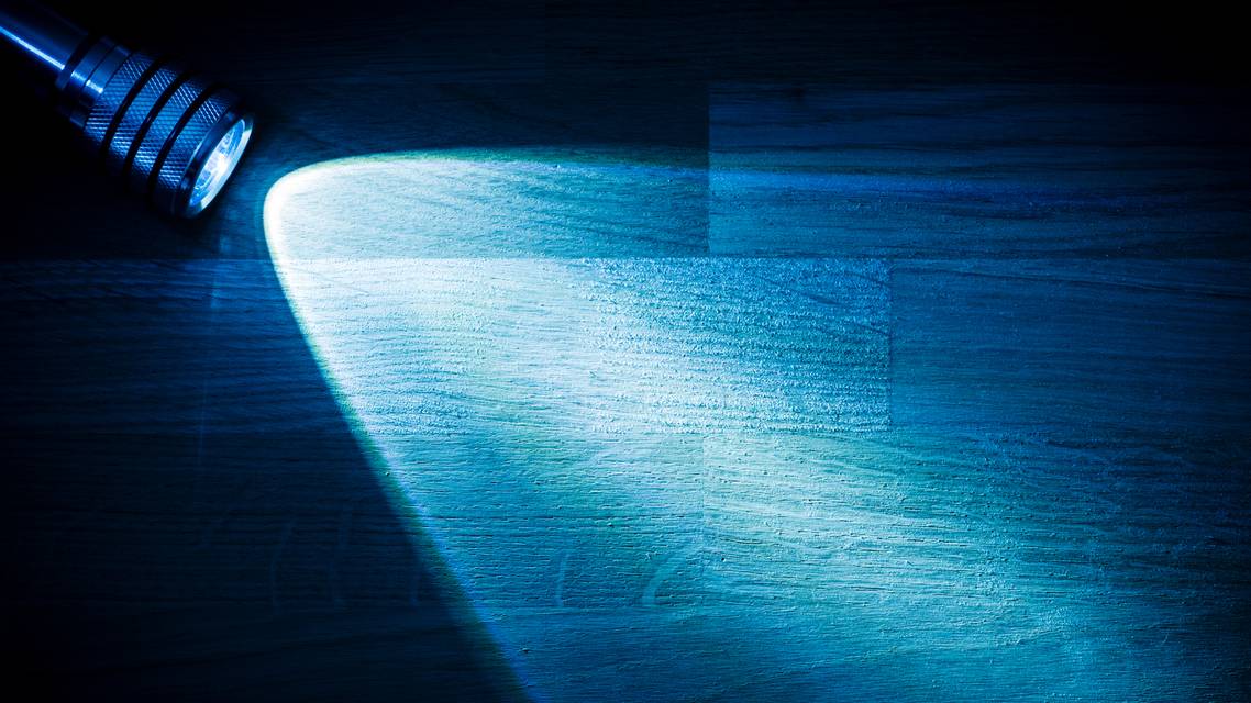 Common Posterior Segment Conditions